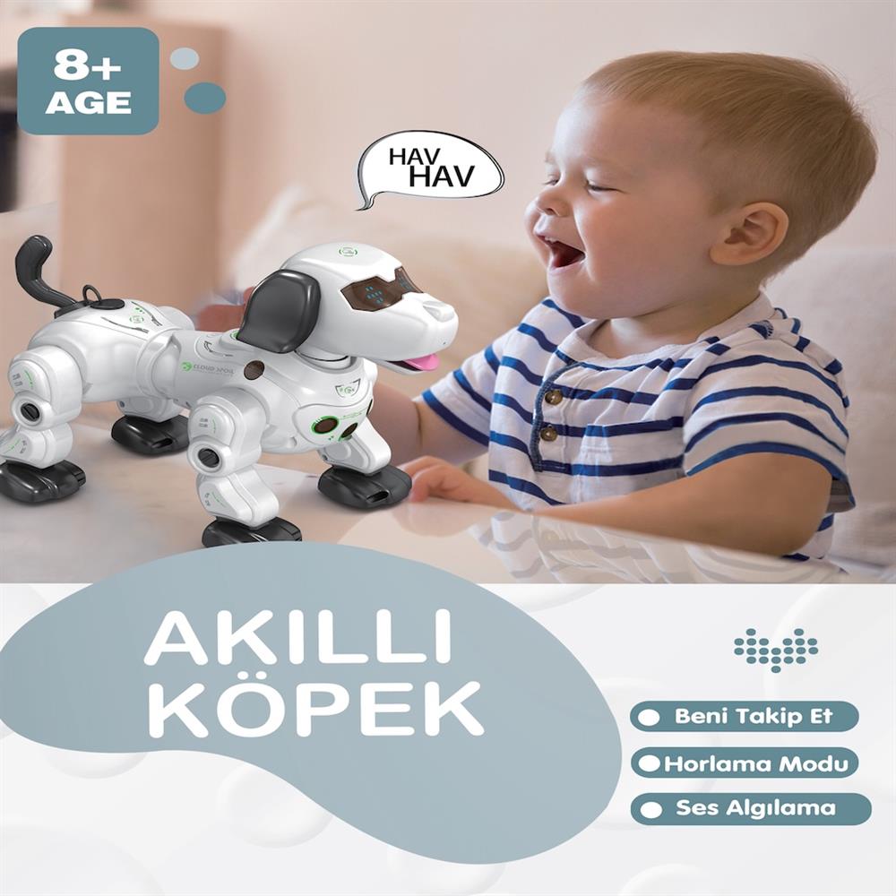 GL-777-602A U/K ŞIKLI VE SESLİ AKILLI ROBOT -VRD