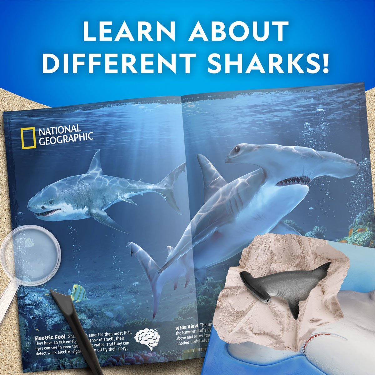 NAT07002 National Geographic Köpek Balığı Bulma Kiti - TRHAMSHDIG +6 yaş