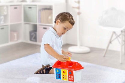 Dolu Kilitli Mutlu Bultak Ev