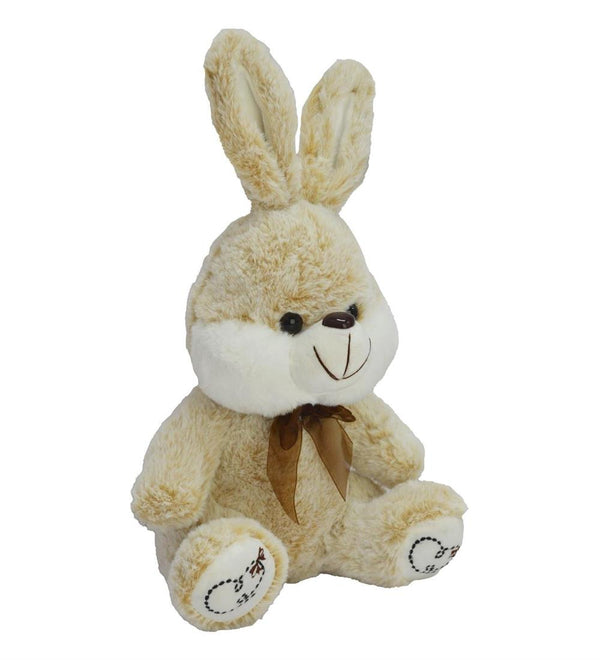 35 CM TAVŞAN PELUŞ -HLY