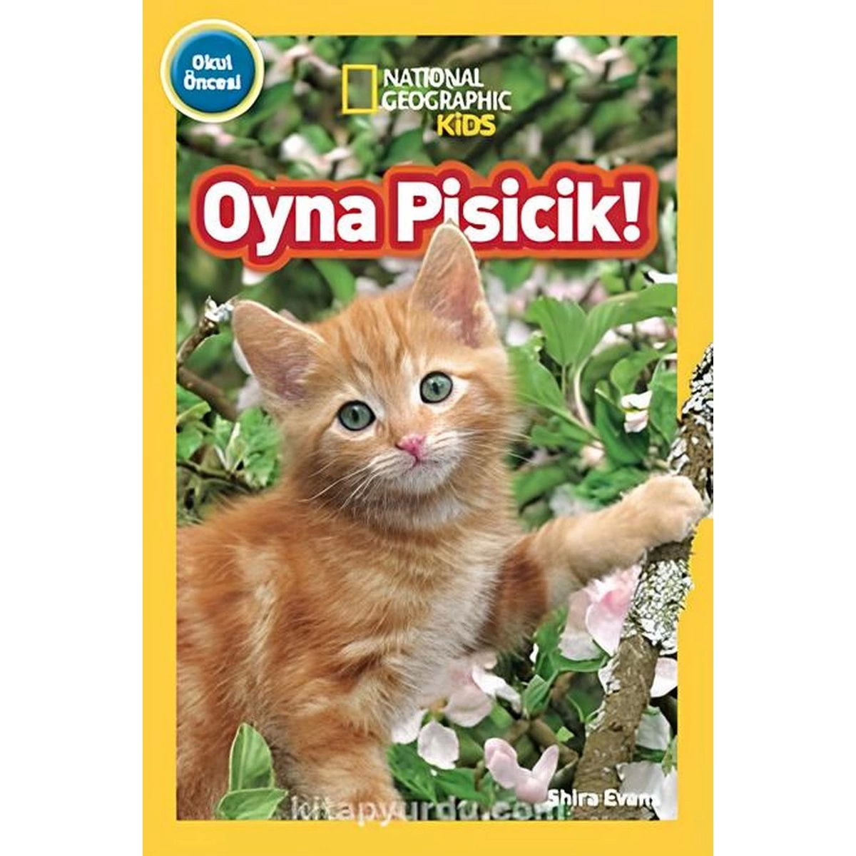 National Geographic Kids Oyna Pisicik!
