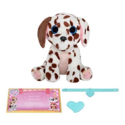 Scruff A Luvs Klasik Seri Sürpriz Kutu CRU10000