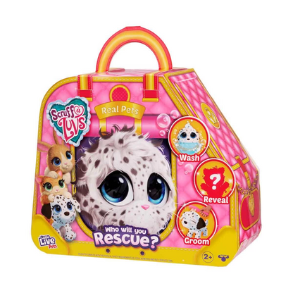 Scruff A Luvs Klasik Seri Sürpriz Kutu CRU10000